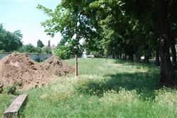 Nový park, rekonštrukcia - dekoratívna grafika